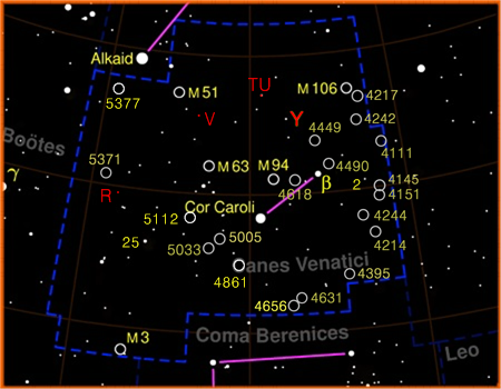 È una piccola costellazione dell'emisfero settentrionale celeste creata nel 1687 da Hevelius con stelle che precedentemente facevano parte dell'Orsa Maggiore.