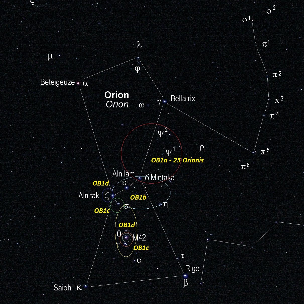 Col termine associazione OB s'intende un gruppo di stelle giovani, calde e massicce di classe spettrale O e B (da cui il nome) che si trovano entro una ristretta regione di spazio